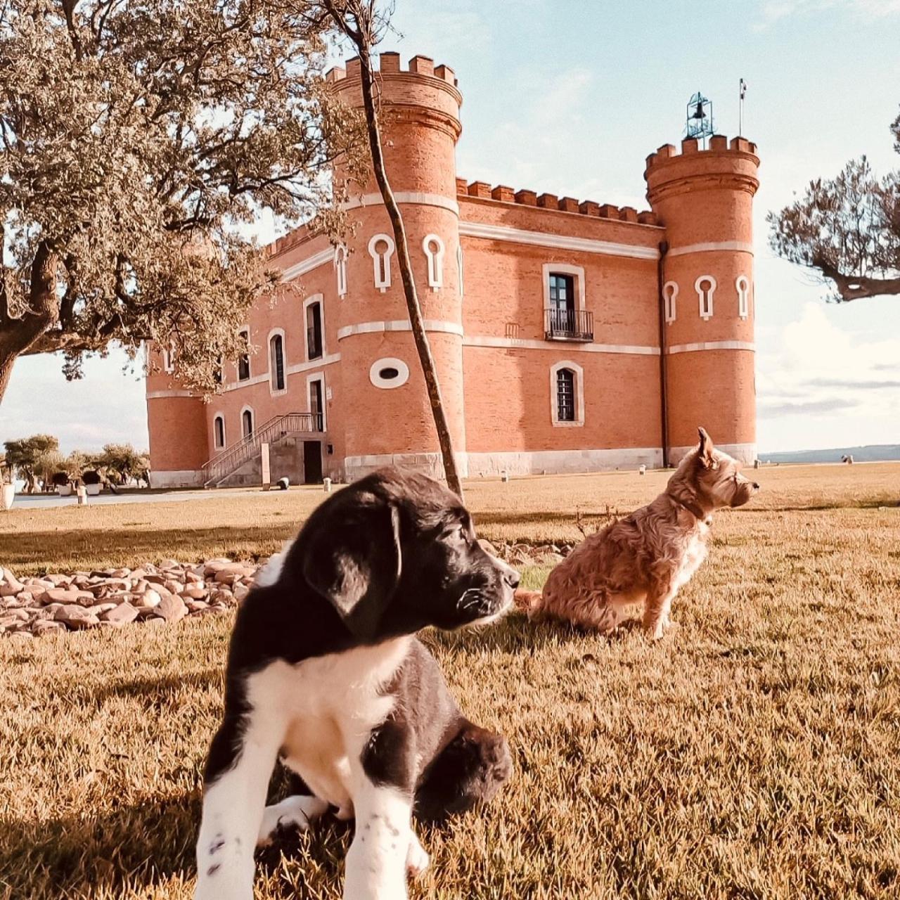 Castillo De Monte La Reina Posada Real & Bodega Toro Exterior foto